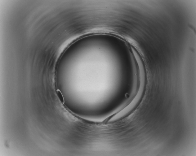 X0000099501288200805151422