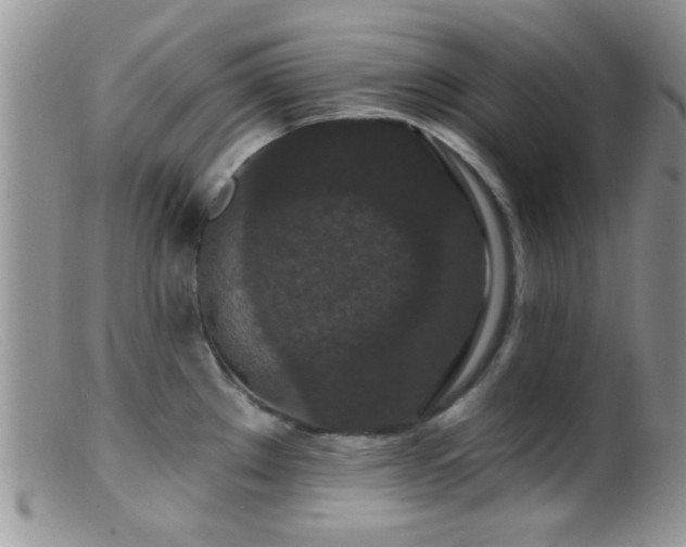 X0000099501289200805151422