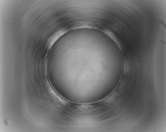 X0000099501290200805151422