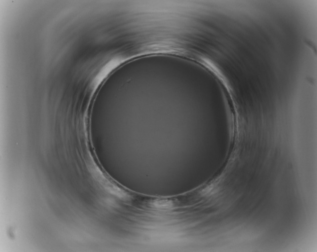 X0000099501291200805151422