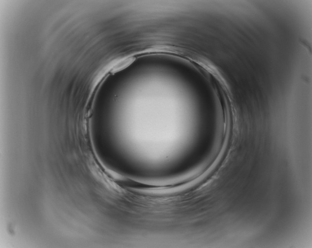 X0000099501292200805151422