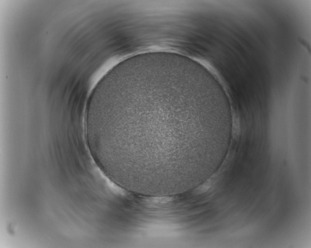 X0000099501294200805151422