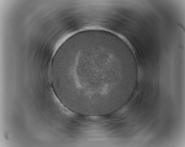 X0000099501295200805151422