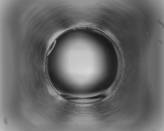 X0000099501296200805151422