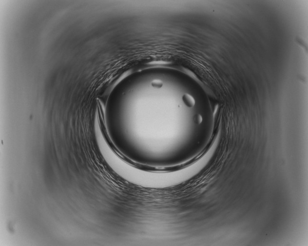 X0000099501298200805151421