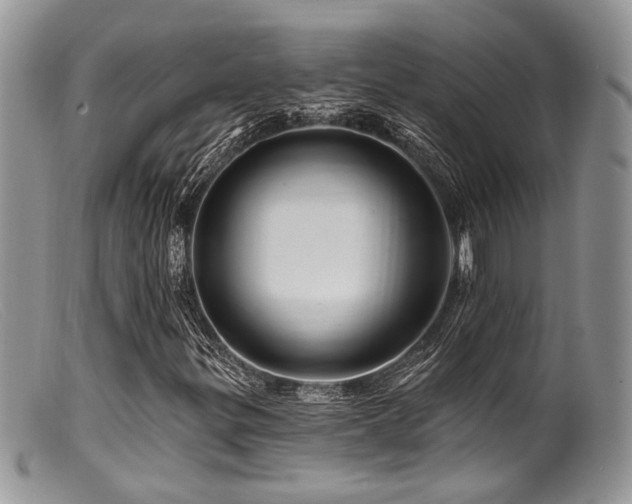 X0000099501299200805151421
