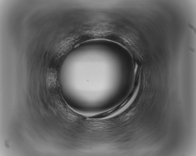 X0000099501300200805151421