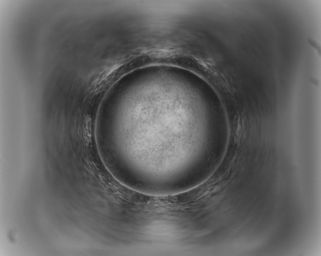 X0000099501301200805151421