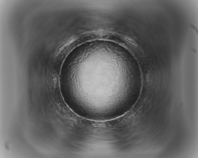 X0000099501302200805151421