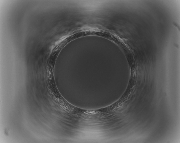 X0000099501303200805151421