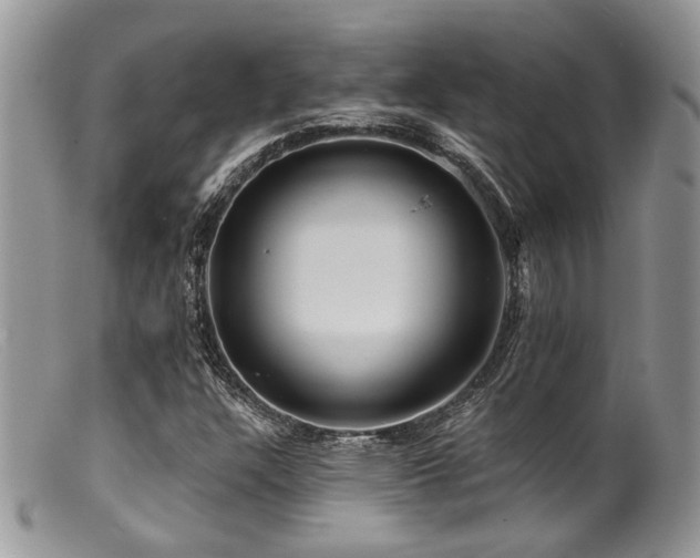 X0000099501304200805151421