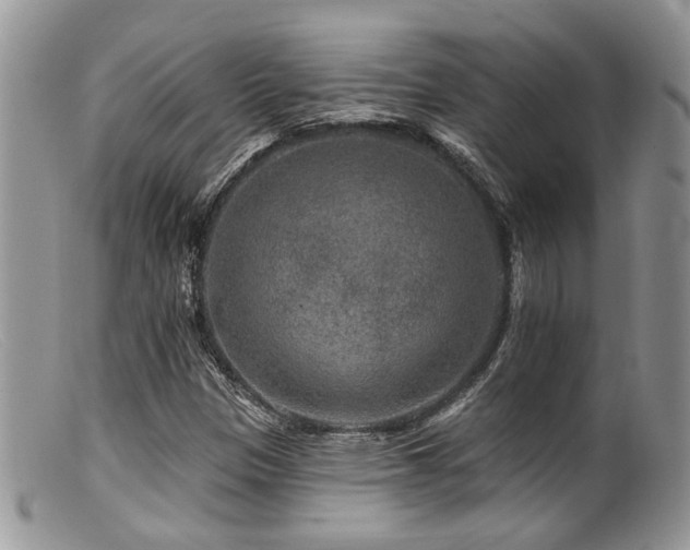 X0000099501305200805151421