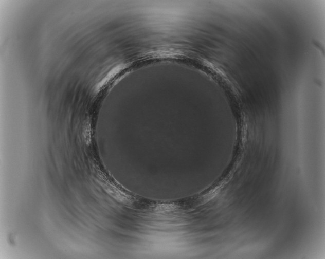 X0000099501306200805151421
