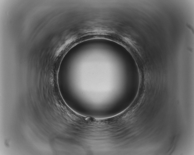 X0000099501307200805151421