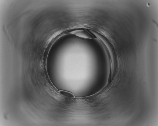 X0000099501308200805151421