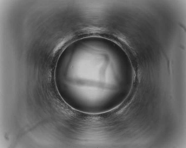 X0000099501309200805151421