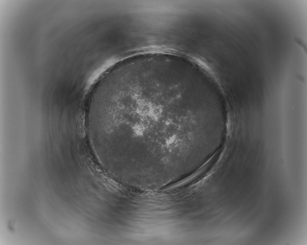 X0000099501310200805151421
