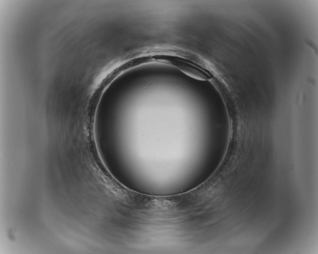 X0000099501312200805151421