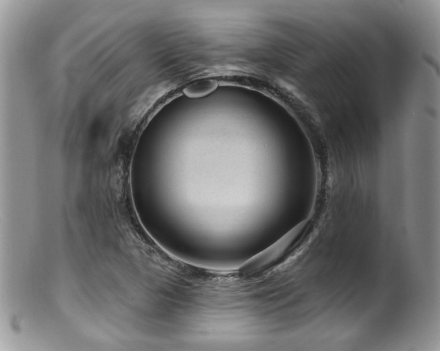 X0000099501313200805151421