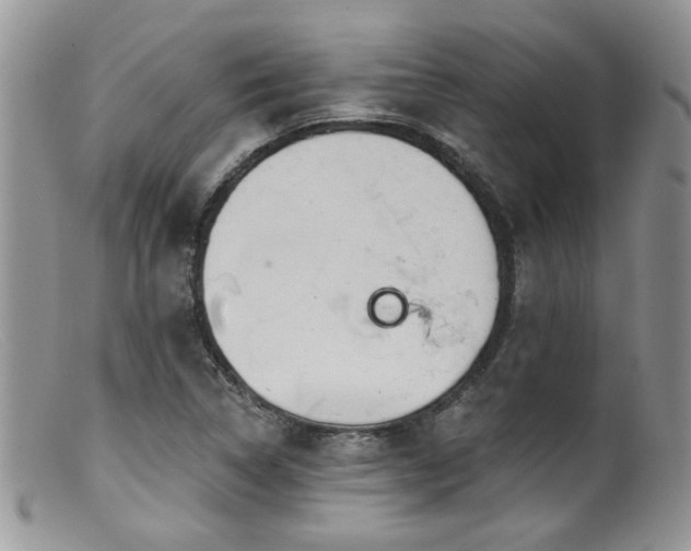 X0000099501314200805151421