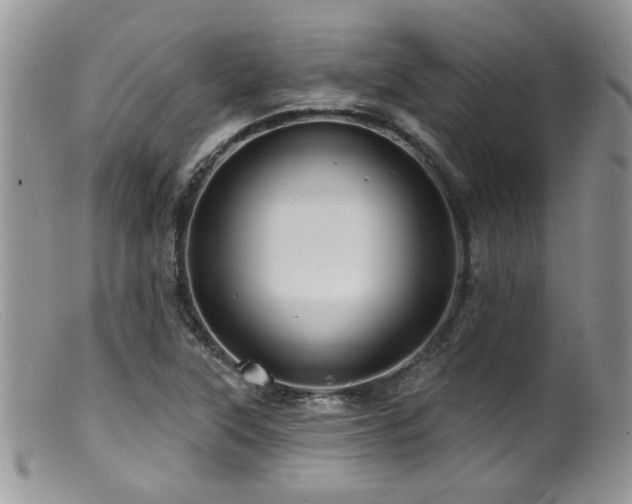 X0000099501315200805151421