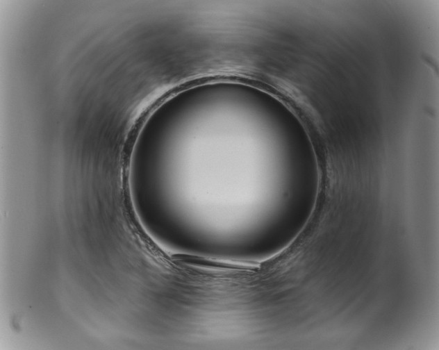 X0000099501316200805151421