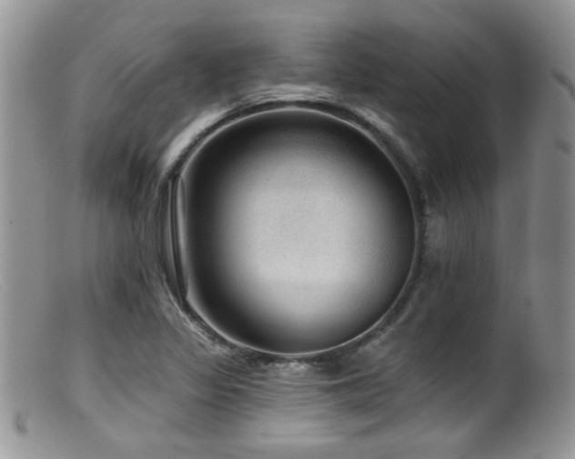 X0000099501317200805151421