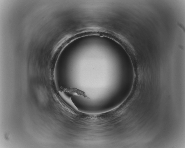 X0000099501318200805151421