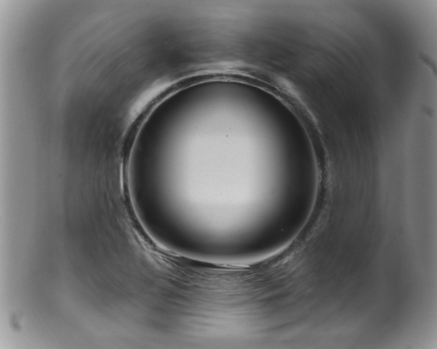 X0000099501320200805151421