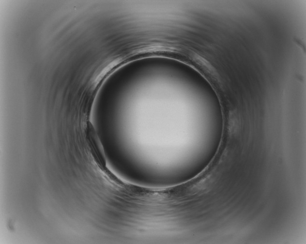 X0000099501321200805151421