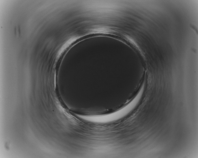 X0000099501323200805151421