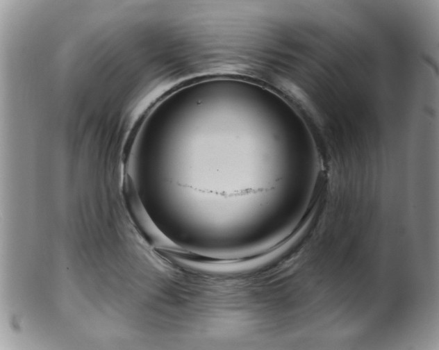 X0000099501324200805151421