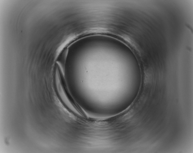 X0000099501325200805151421
