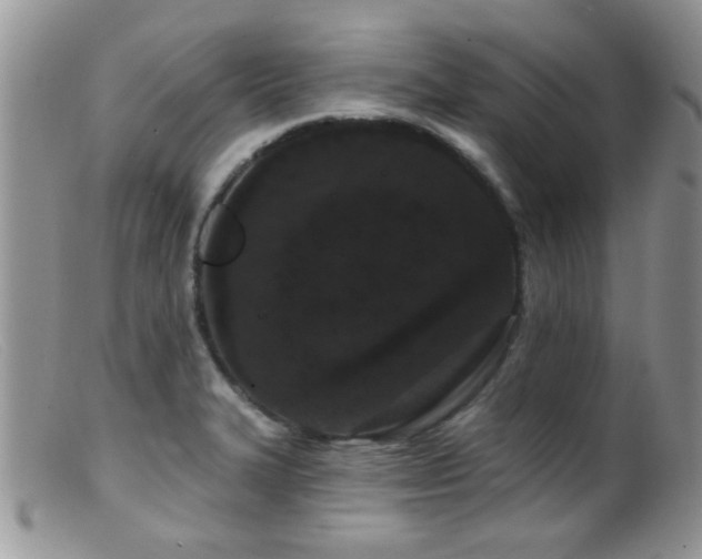 X0000099501327200805151422