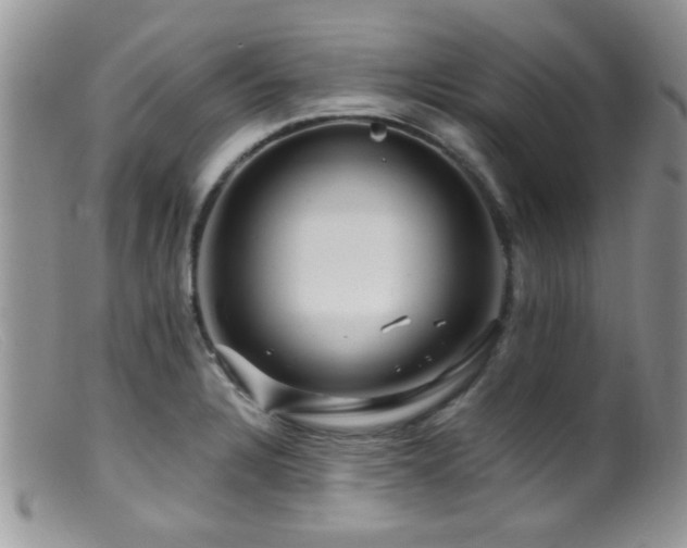 X0000099501328200805151422