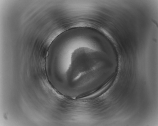 X0000099501329200805151422