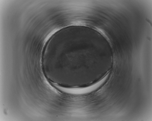 X0000099501331200805151422