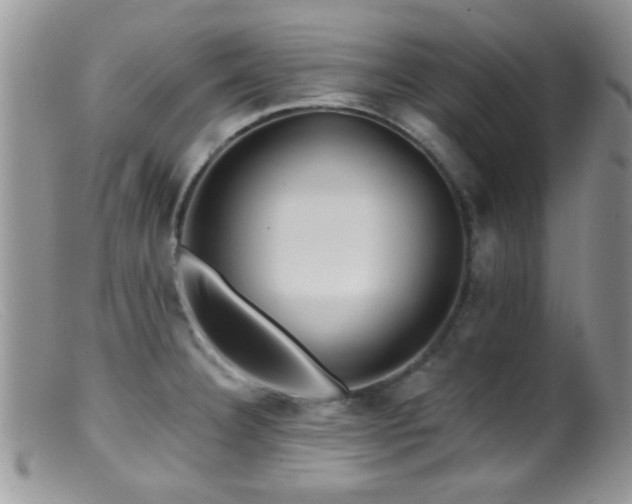 X0000099501332200805151422