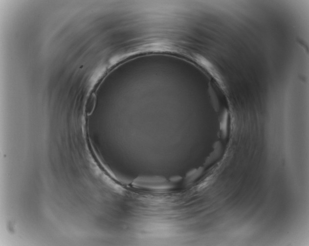 X0000099501334200805151422