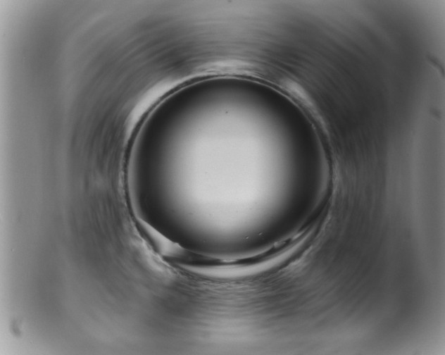 X0000099501336200805151422