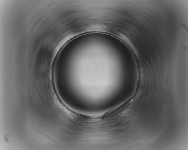 X0000099501339200805151422