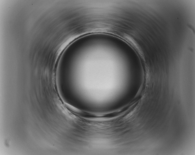 X0000099501340200805151422