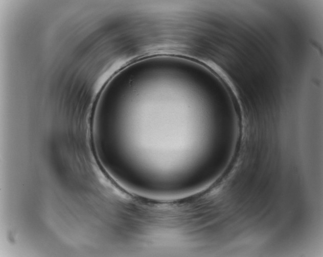 X0000099501341200805151422