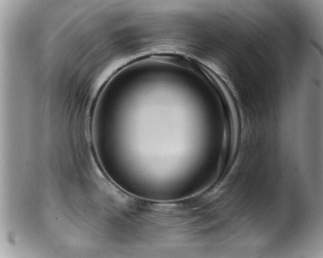 X0000099501342200805151422