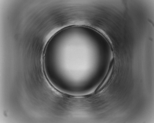 X0000099501343200805151422