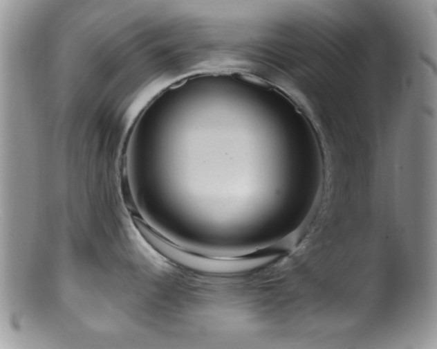X0000099501344200805151422