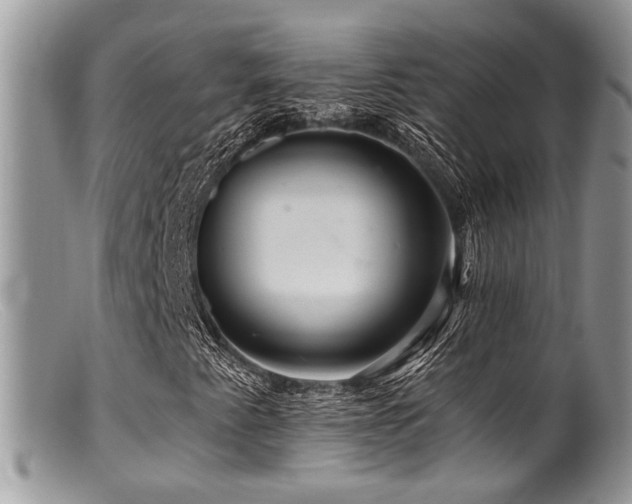 X0000099501345200805151421