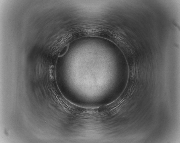 X0000099501346200805151421