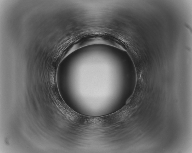 X0000099501348200805151421
