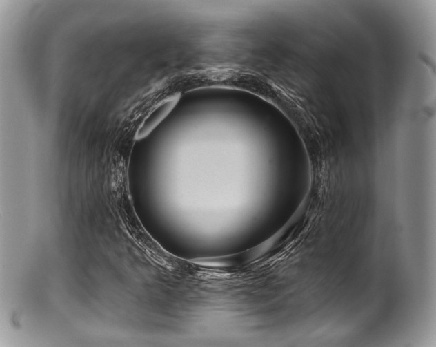 X0000099501349200805151421